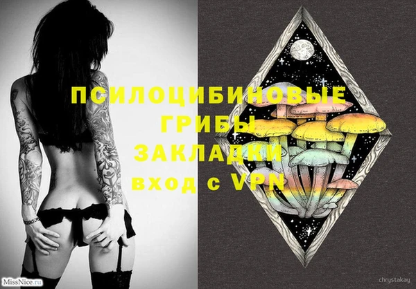 бошки Нея