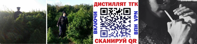 ТГК гашишное масло  Конаково 
