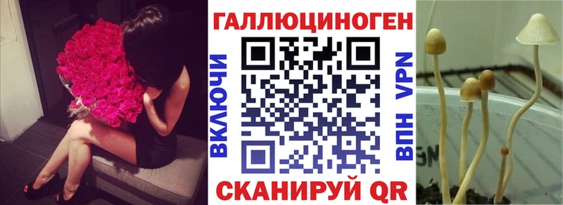 как найти наркотики  Конаково  Псилоцибиновые грибы Magic Shrooms 